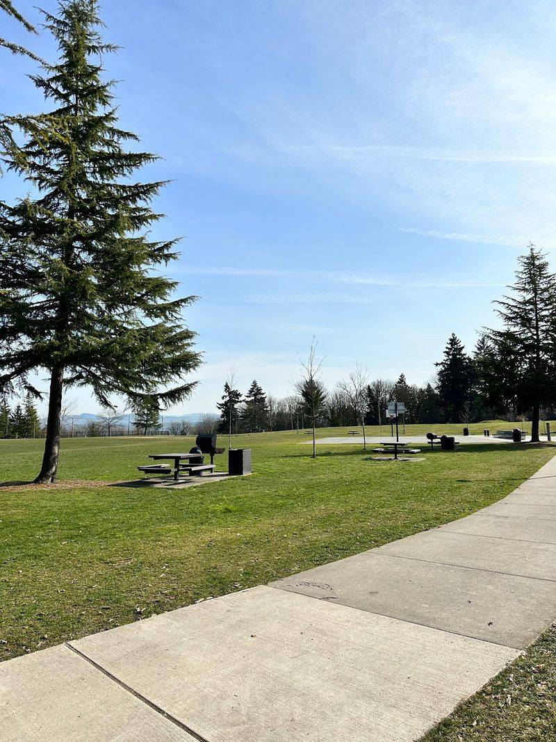 Picnic Shelter, Grills, And The Central Lawn