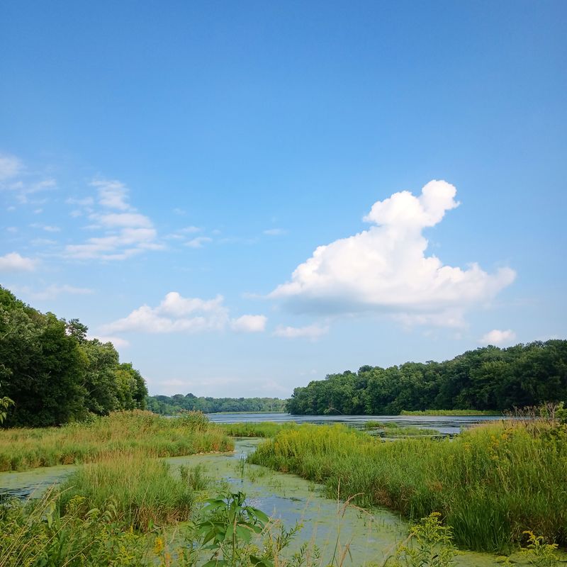Fishing The Quiet Edges