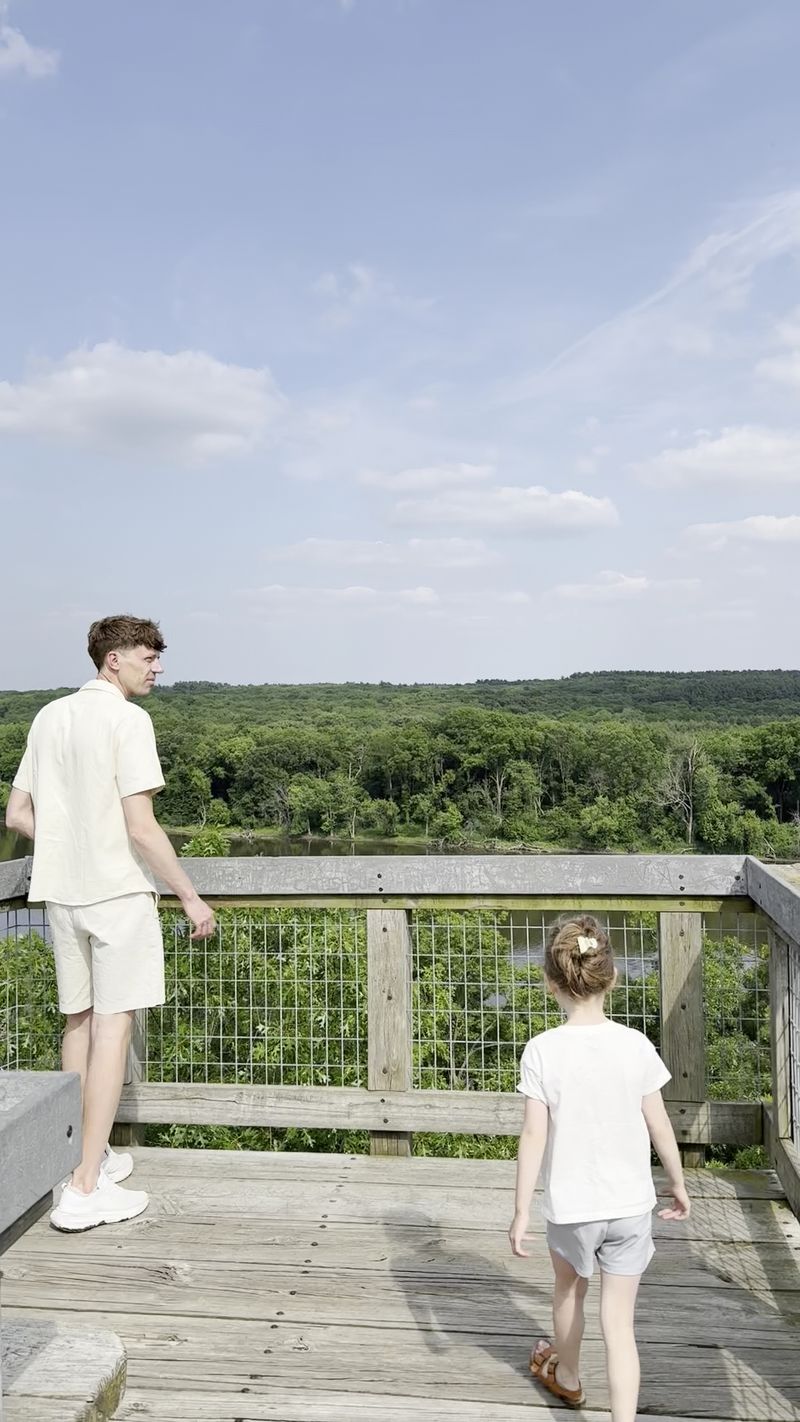 Picnic Shelters With Front-Row Views
