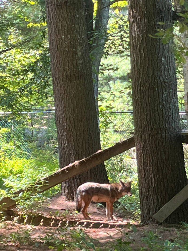 Picnic Spots And The Snack Shack