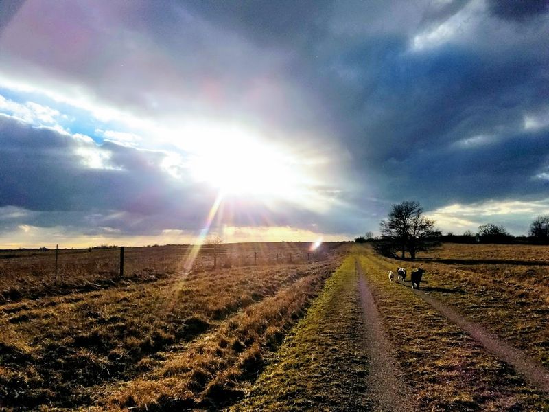 Photography Opportunities Around Every Bend