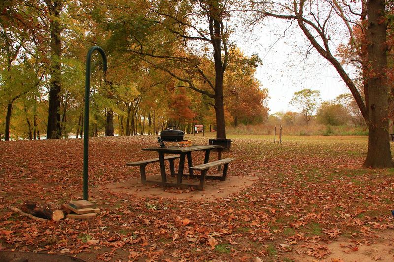 Picnic Spots Look Straight Toward The River