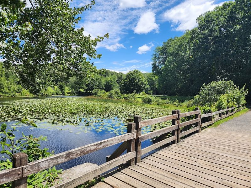 Picnic Spots That Actually Deliver The Goods