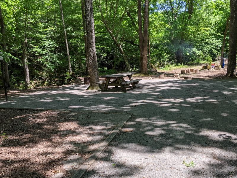 Picnic Spots That Steal The Show Picnic Spots That Steal The Show