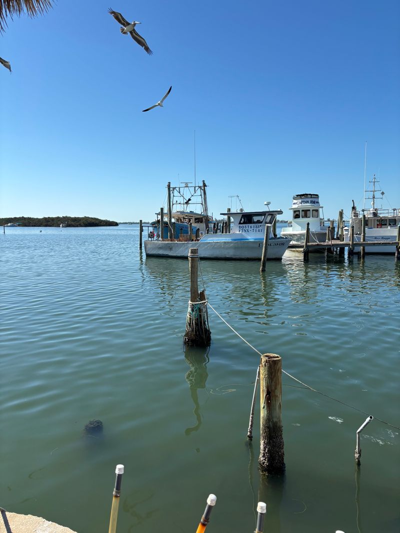 Fishing Fleet Right Outside Your Table