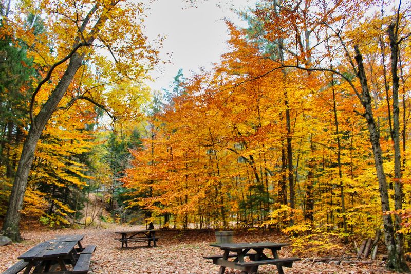 Picnic Tables And Grills Make A Full Day Easy