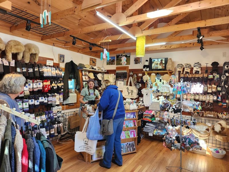 A Larger Retail Store In Northport