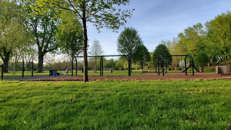 Picnic Tables, Grills, And A Playground