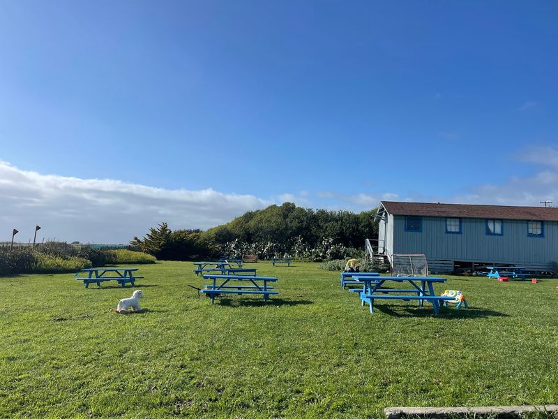 Picnic Tables, Ocean Breezes, And A Very Friendly Farm Dog Picnic Tables, Ocean Breezes, And A Very Friendly Farm Dog
