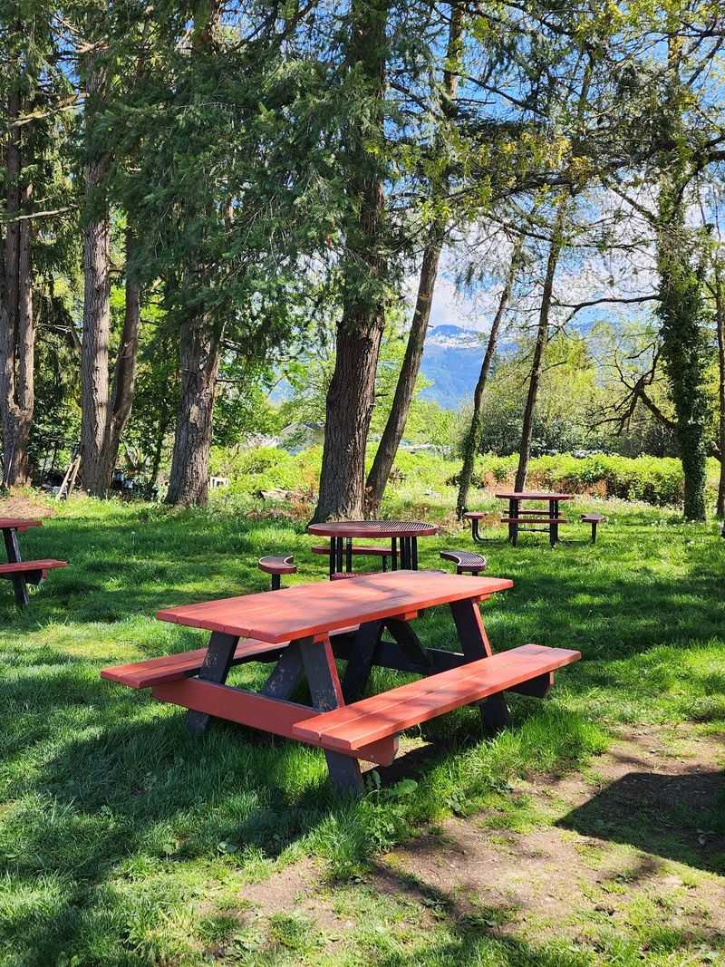 Picnic Tables, Shade, And A Delightfully Casual Vibe