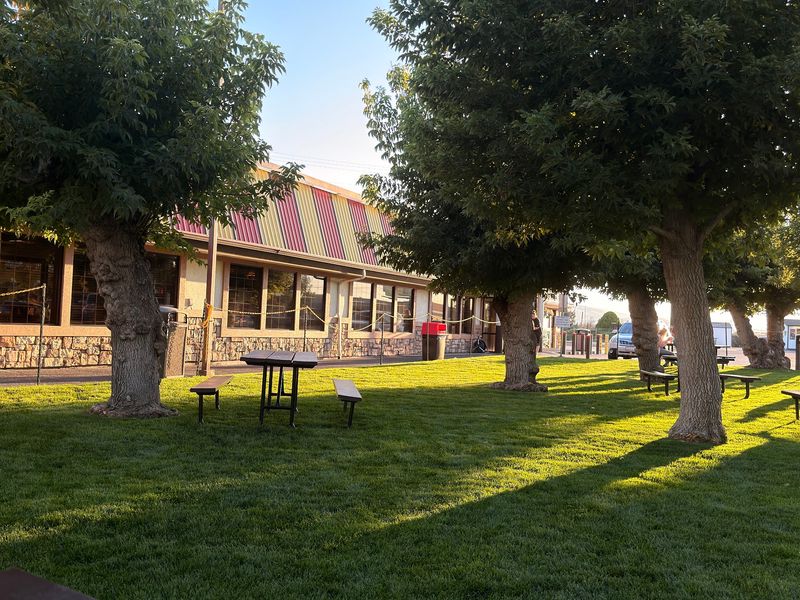 Picnic Tables Under The Trees Steal The Show Picnic Tables Under The Trees Steal The Show