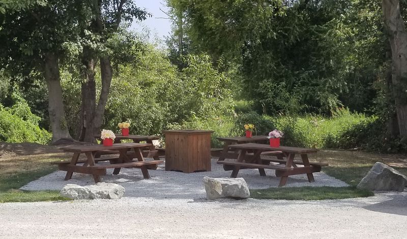 Picnic Tables Under the Trees