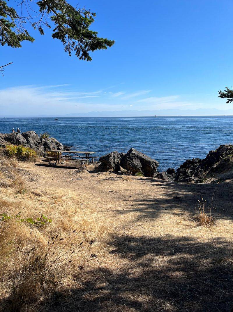 Picnic Tables With a Front-Row View