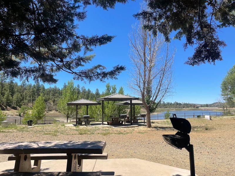 Picnicking And Camping Near The Lake Picnicking And Camping Near The Lake