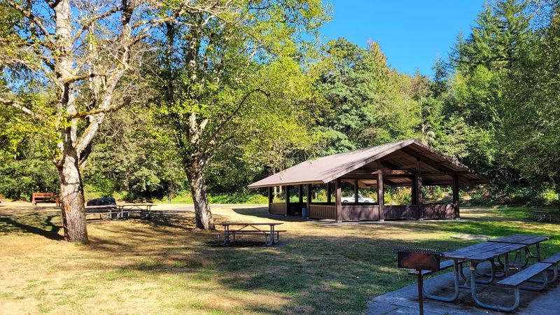Picnicking, Group Gatherings, And Shoreline Exploration