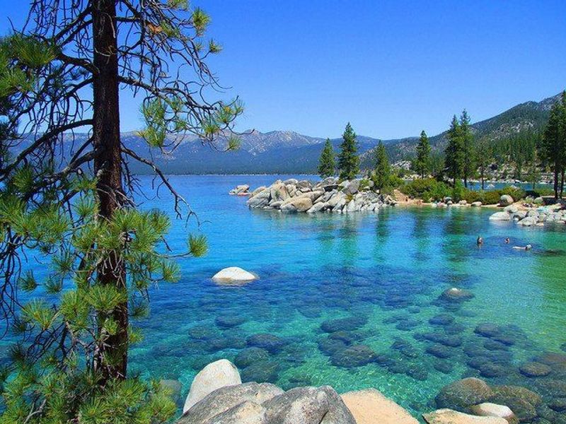 Picnicking In The Pines With A Lake View