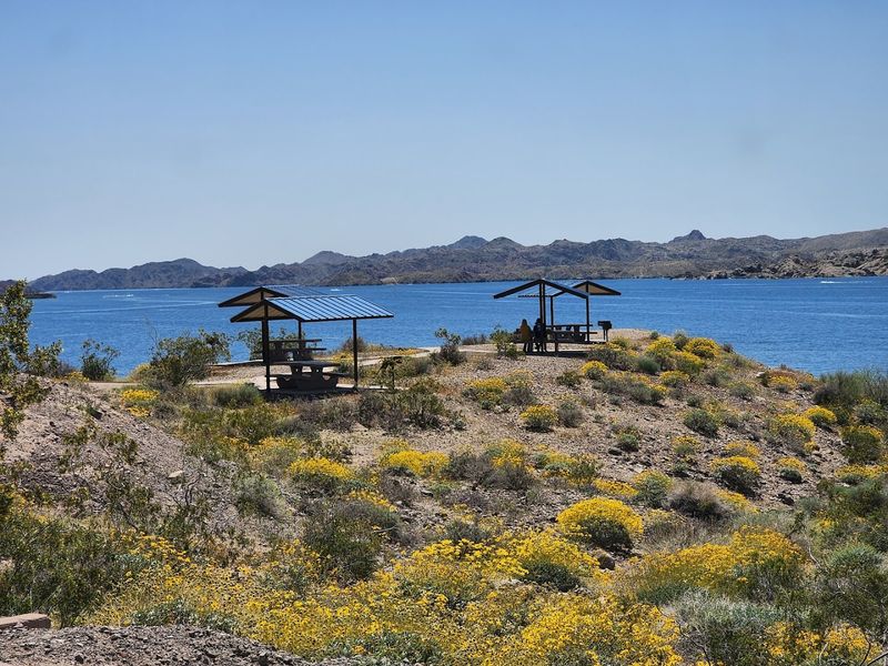 Picnicking With A View That Earns Its Keep
