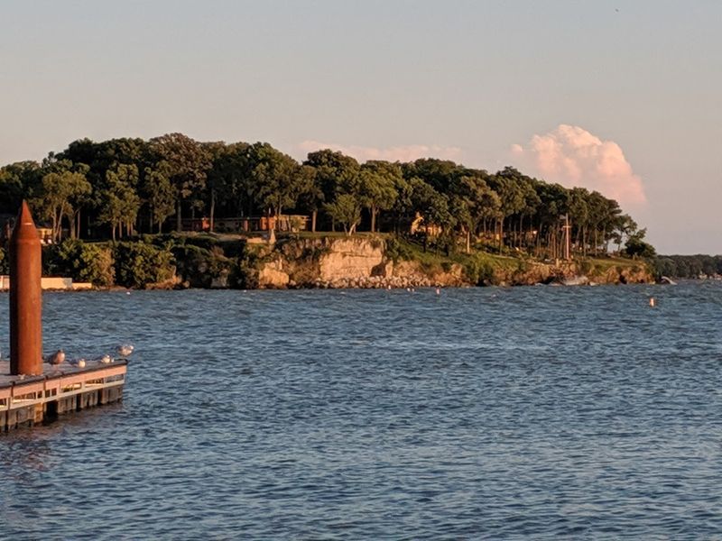Bird-Watching Along the Shoreline