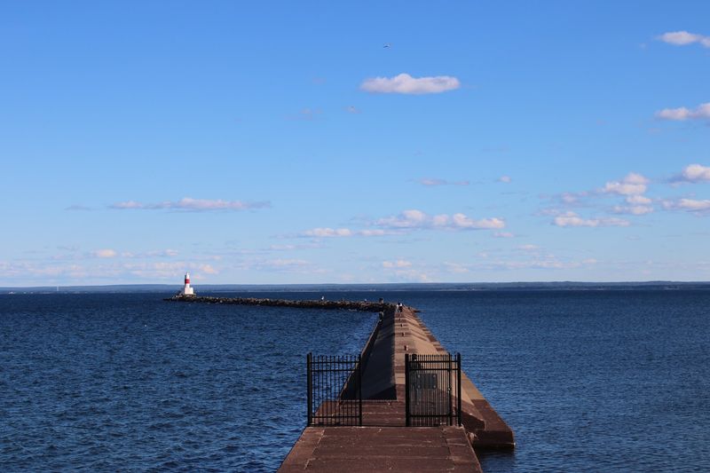 Wildlife Watching 101