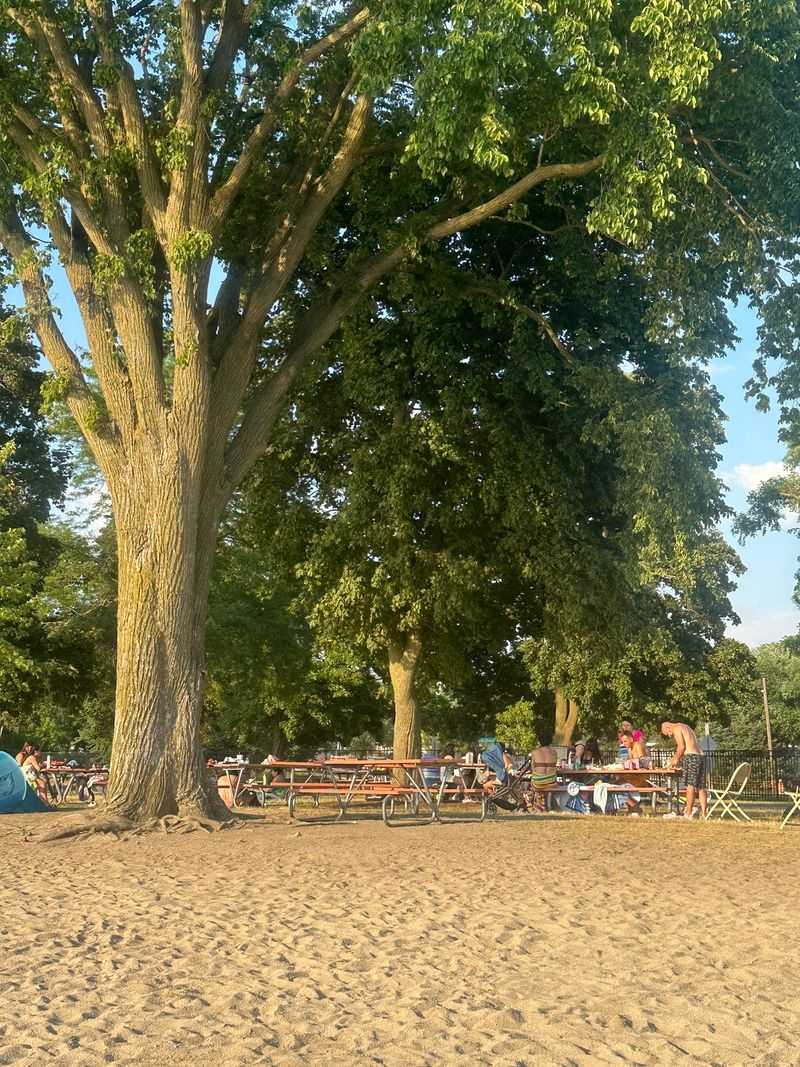 Picnics, Grilling, And Shady Tables