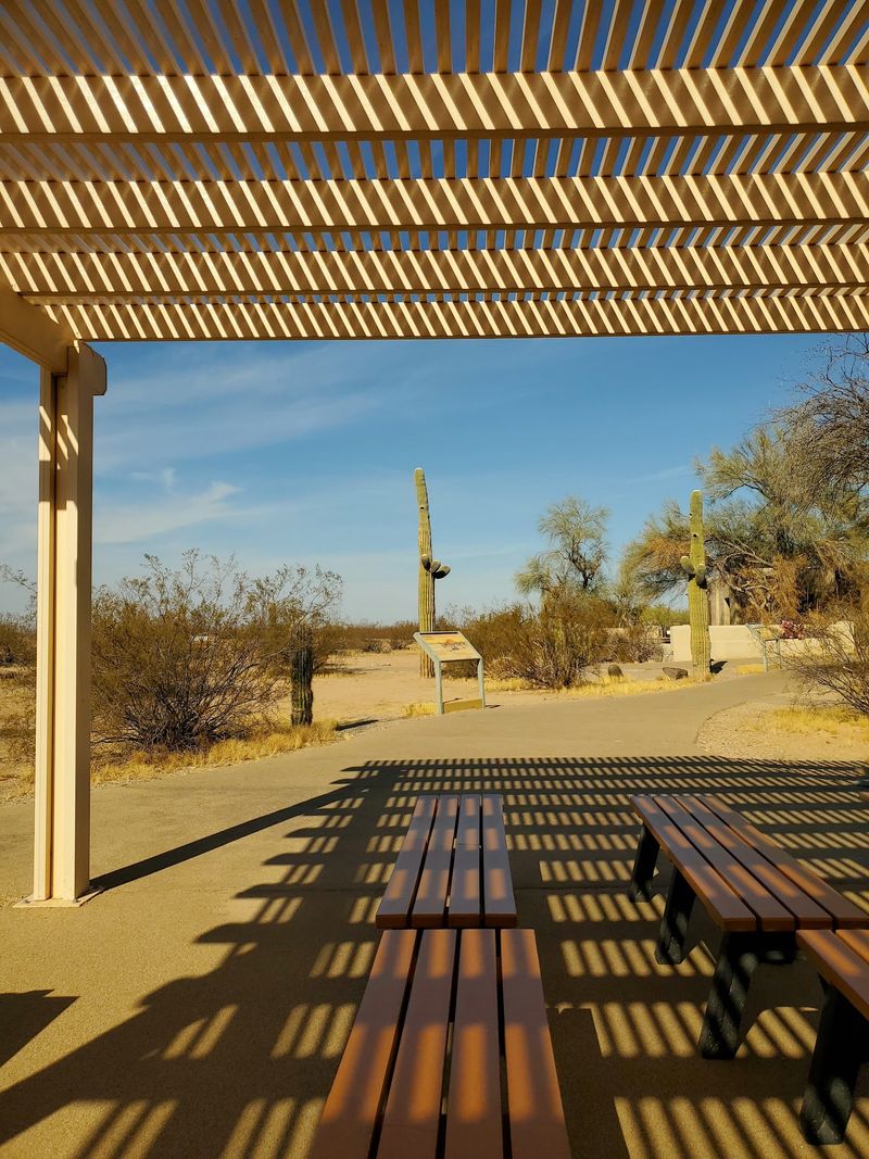 Picnics, Junior Rangers, And Owls In The Rafters