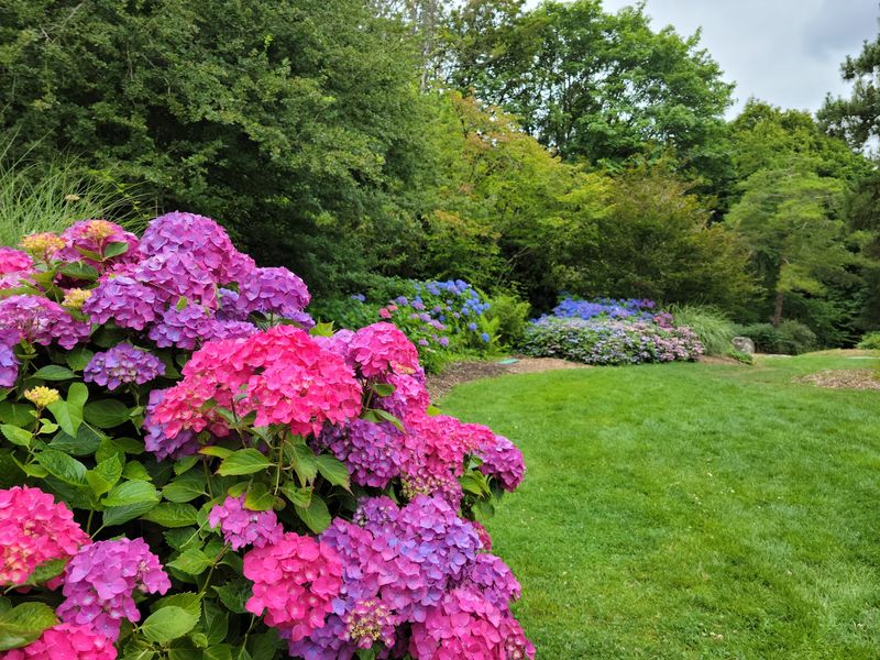 Picnics, Photos, And Family Moments