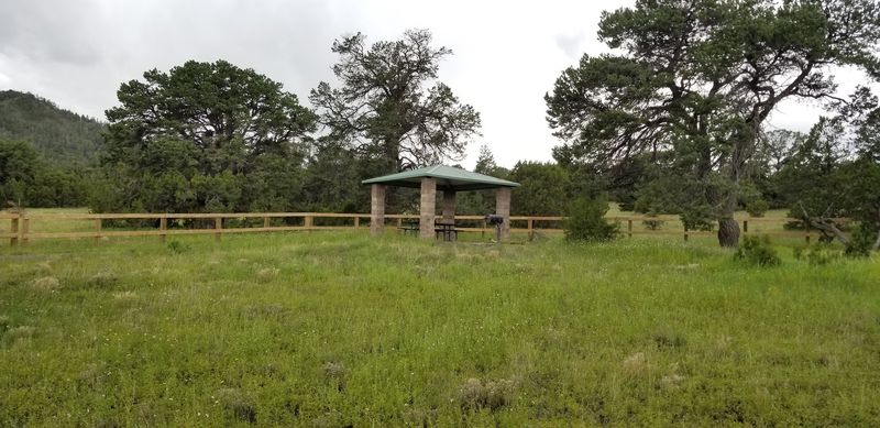Picnics, Wildlife, And A Full Day Out