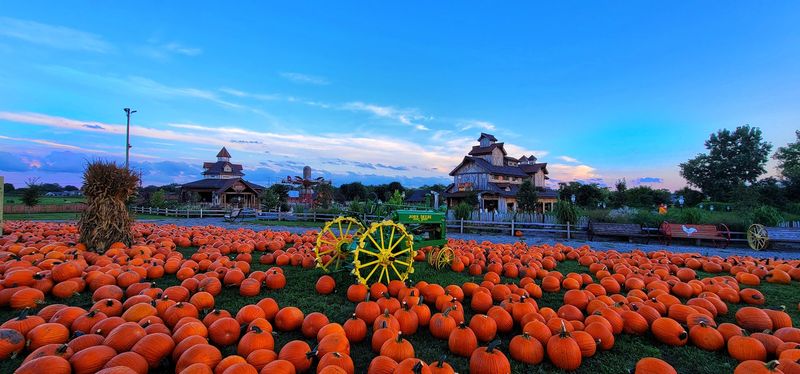 Picture-Perfect Pumpkins And Fall Decor Picture-Perfect Pumpkins And Fall Decor