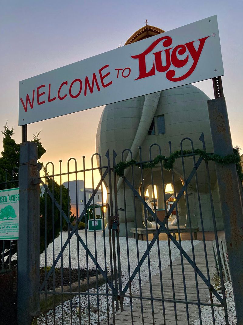 Picture The Day Lucy Changed Addresses