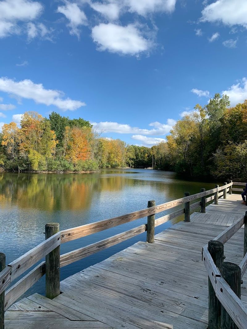 Maybury State Park, Northville