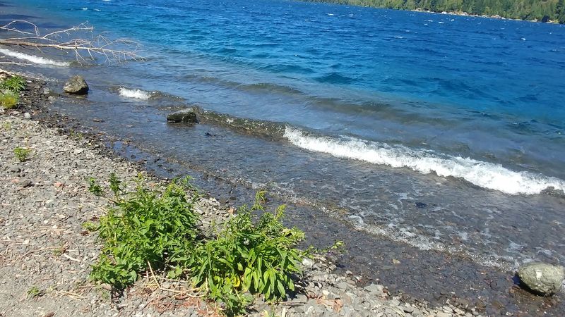 Piers, Driftwood, and Quiet Shoreline Beaches