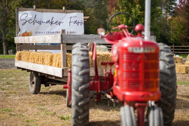 Schomaker Farms Produce, Saginaw