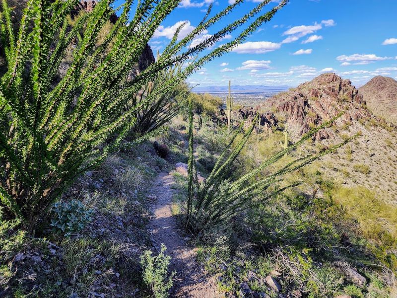 Piestewa Peak Nature Trail, Phoenix Mountains Preserve Piestewa Peak Nature Trail, Phoenix Mountains Preserve