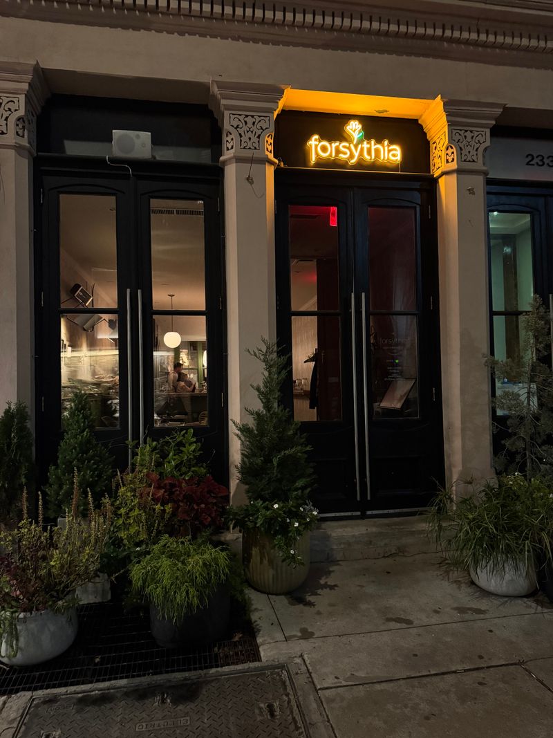 Forsythia — Philadelphia, PA