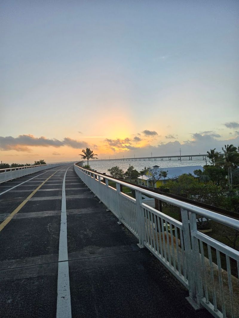 Meet Fred The Tree, The Bridge's Beloved Landmark