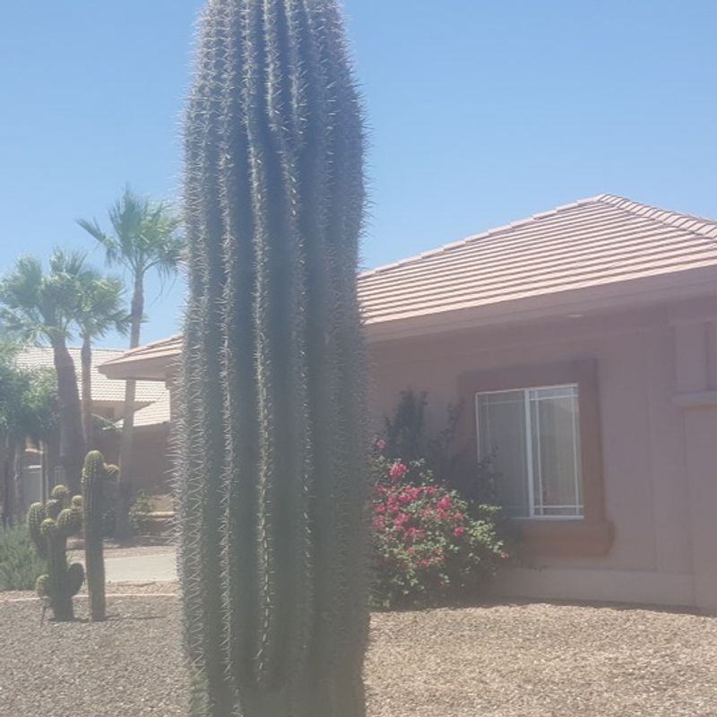 Pinal County Pinal County