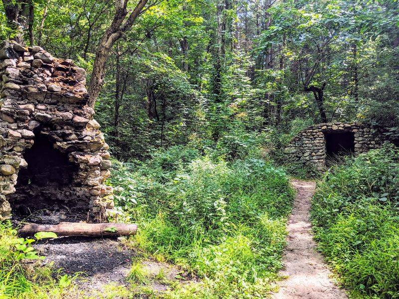 Pinckney Recreation Area - Pinckney