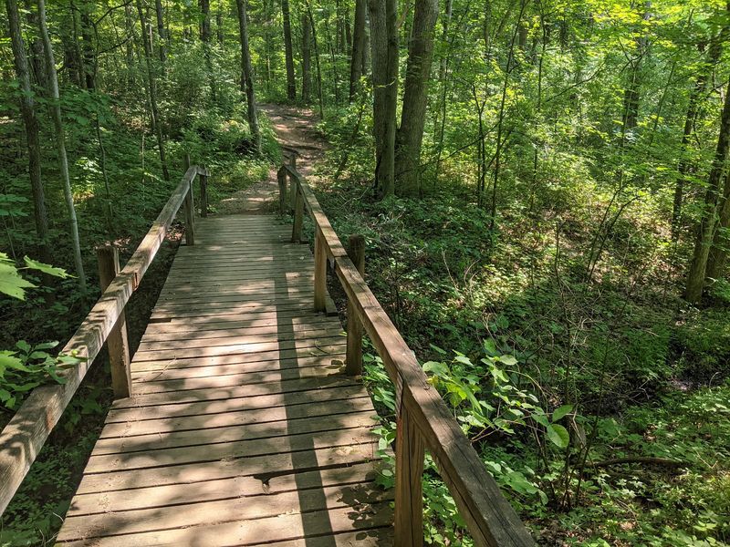 Pinckney Recreation Area