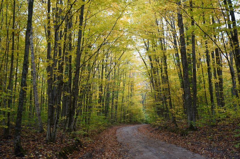 High Country Pathway, Pigeon River Country area