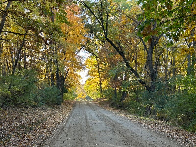 Pinckney