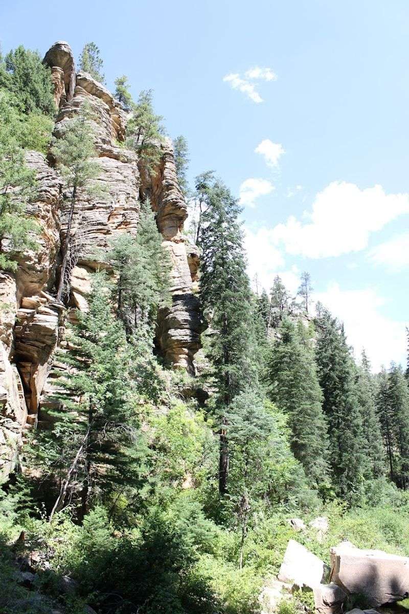 Pine And Strawberry, Arizona