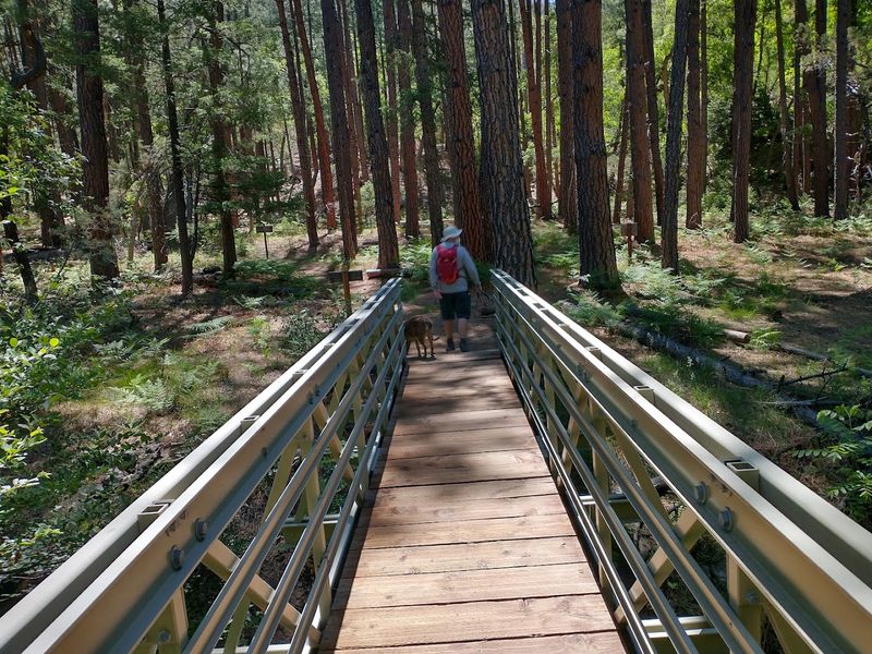 Pine, Arizona