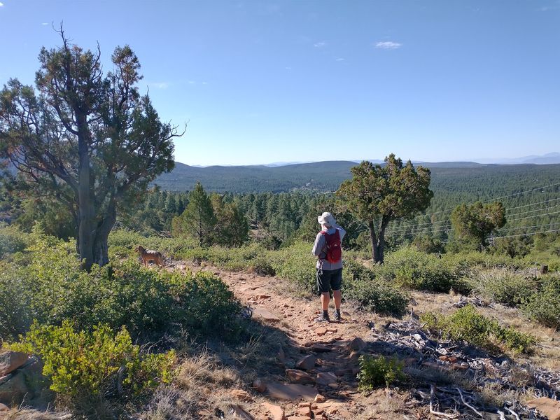 Pine, Arizona