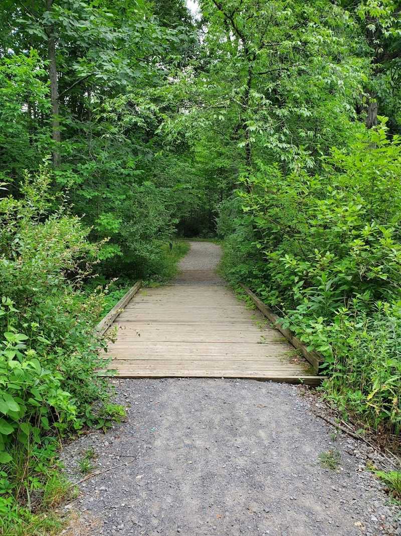 Sunken Garden Trail, Moraine State Park