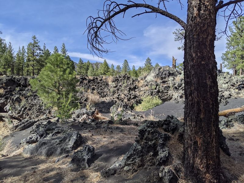 Bonito Campground, Near Sunset Crater