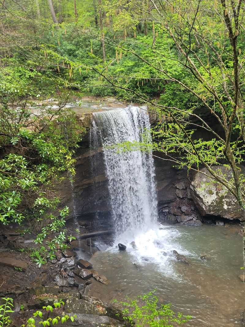 Ohiopyle State Park — Ohiopyle