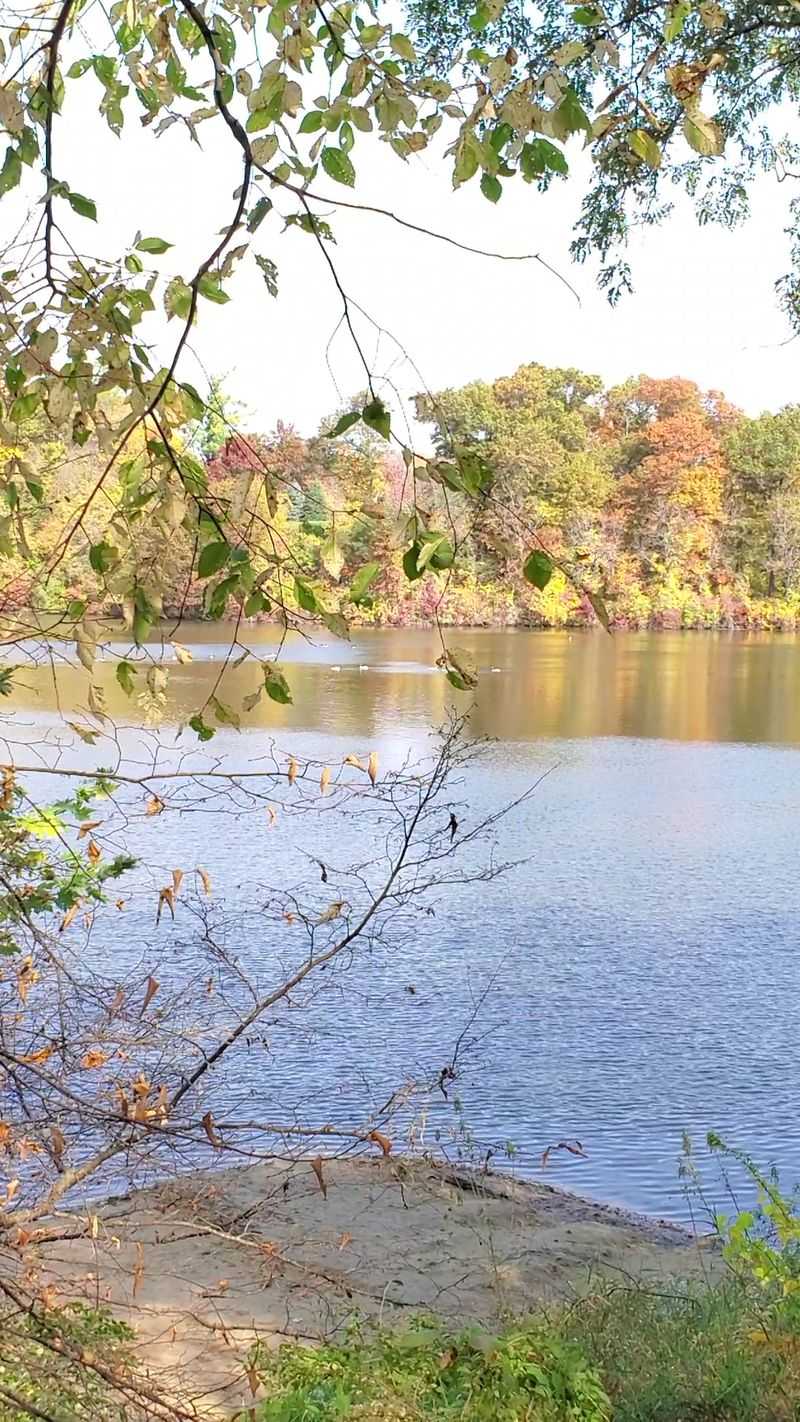 Pine Lake State Park, Eldora