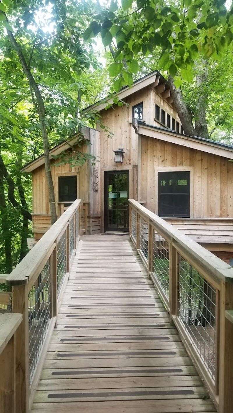 For-Mar Nature Preserve Barrier-Free Treehouse, Burton