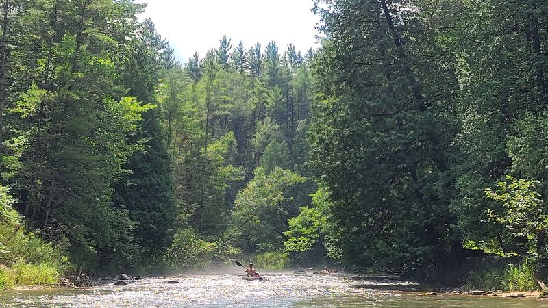 Pine River Pine River