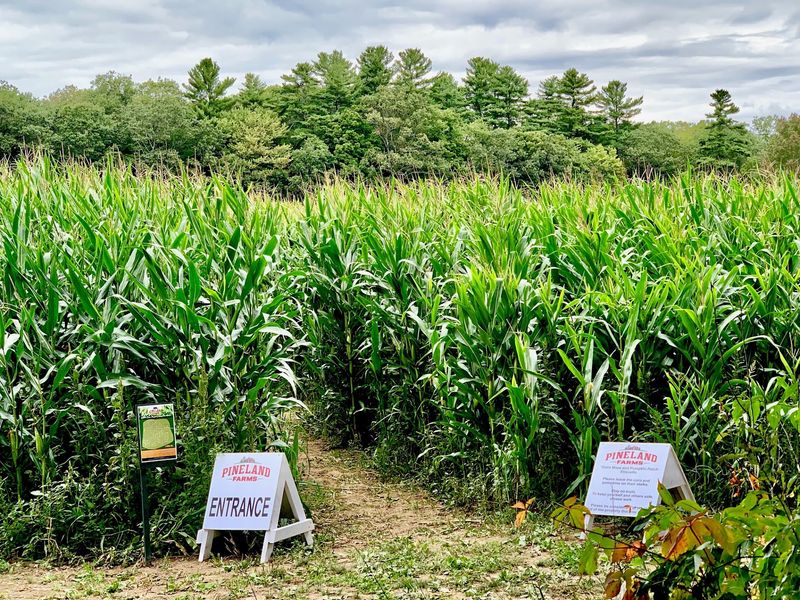 Pineland Farms, New Gloucester Pineland Farms, New Gloucester